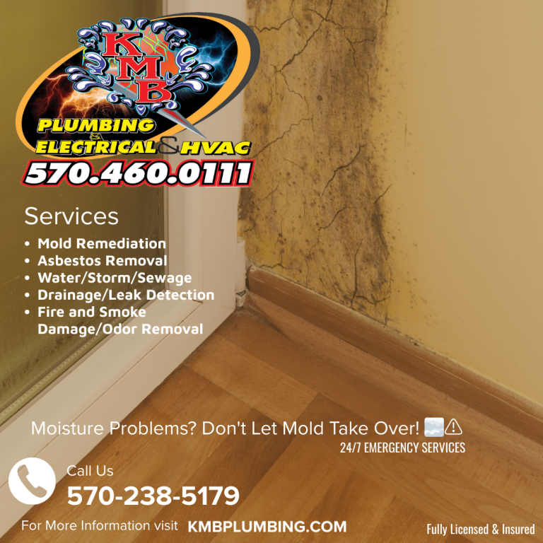 Excess moisture can lead to mold in your home