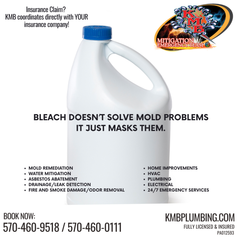 Does bleach kill mold?