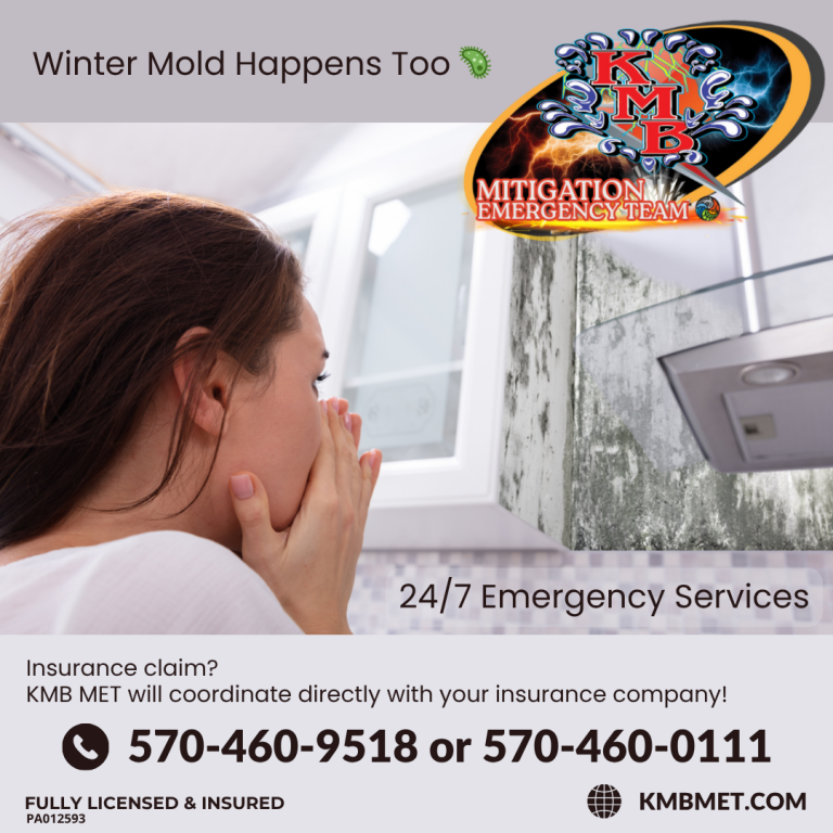 Mold can still live in winter months