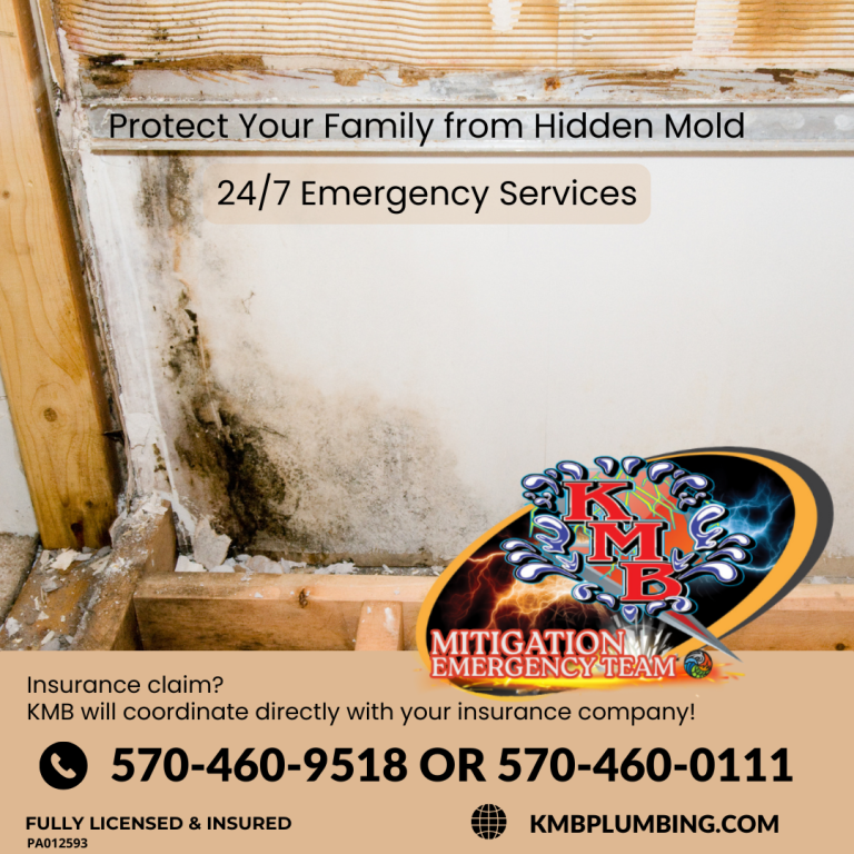 Is mold hiding in your home?