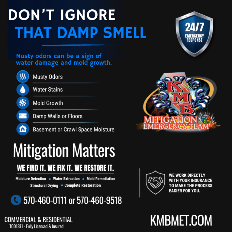 Do not ignore a musty smell