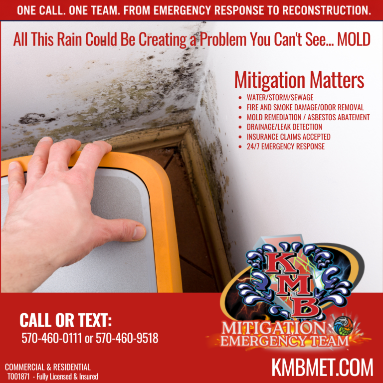 Act fast with mold